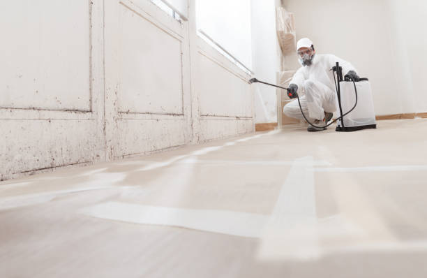 24/7 Emergency Mold Remediation experts in Concord, VA